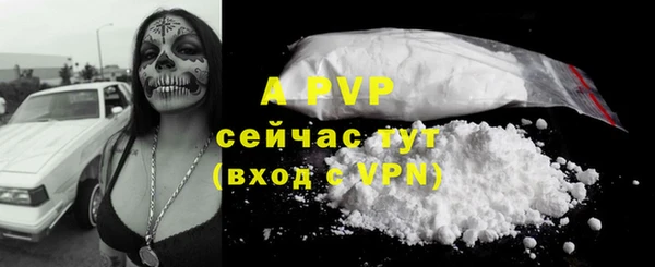 a pvp Алзамай