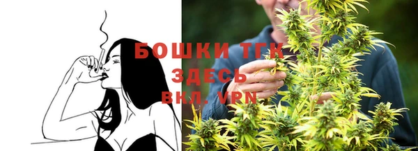 первитин Новозыбков
