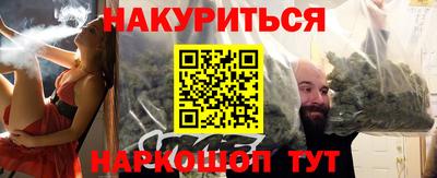 шишки Дубна