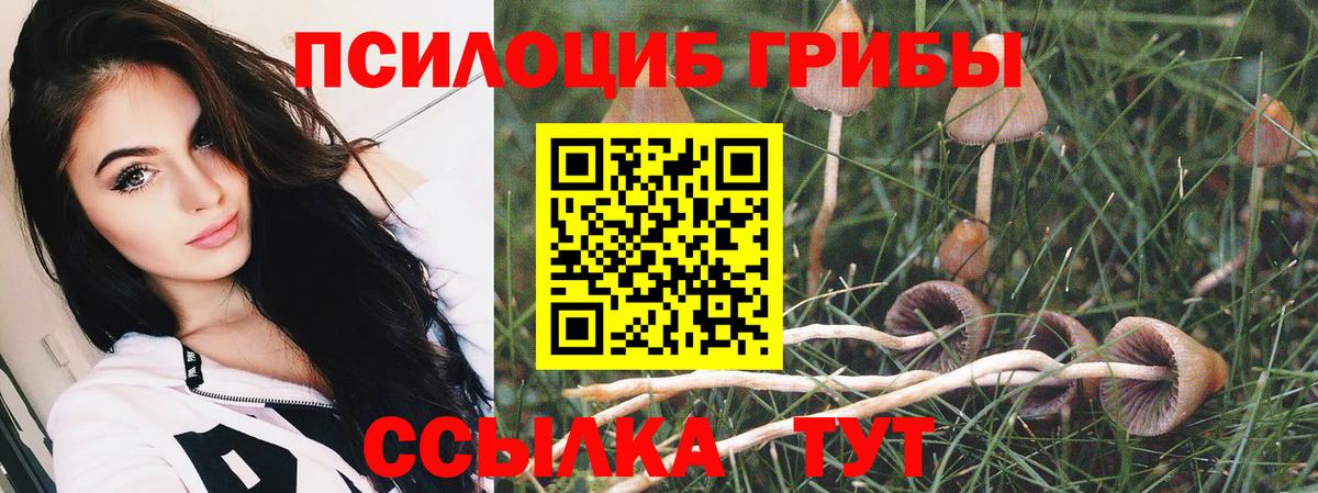 Моздок  Галлюциногенные грибы Cubensis  Вход с VPN  Псилоцибиновые грибы Cubensis 